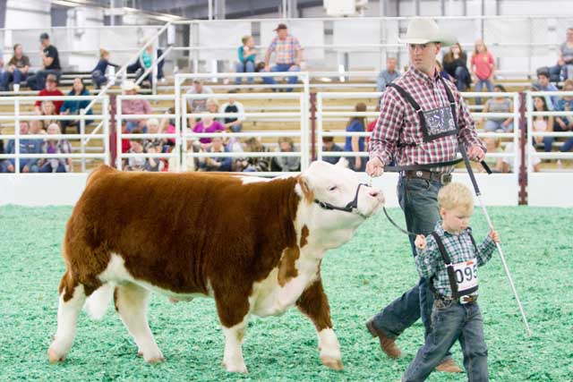 San Antonio Stock Show & Rodeo - FEBRUARY